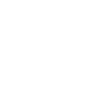 Profpaint